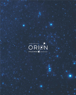 27919 ORION Brochure Part 1