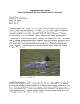 Common Loon Natural History (Adapted from Species Profile of the Common Loon in New Hampshire)