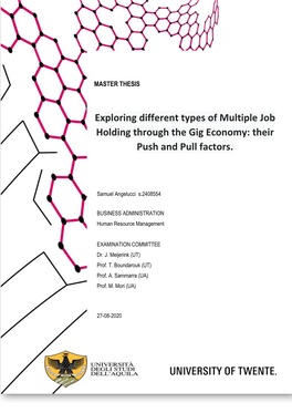 Exploring Different Types of Multiple Job Holding Through the Gig Economy: Their Push and Pull Factors