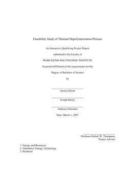 Feasibility Study of Thermal Depolymerization Process