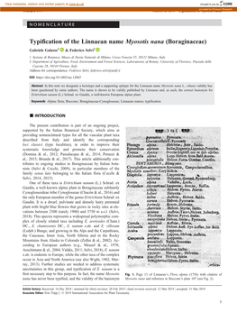 Typification of the Linnaean Name Myosotis Nana (Boraginaceae)