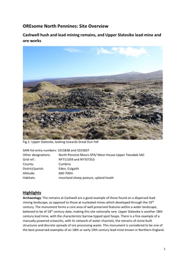 Oresome North Pennines: Site Overview Cashwell Hush and Lead Mining Remains, and Upper Slatesike Lead Mine and Ore Works