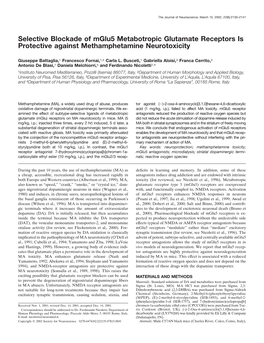 Selective Blockade of Mglu5 Metabotropic Glutamate Receptors Is Protective Against Methamphetamine Neurotoxicity