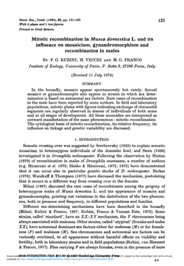 Mitotic Recombination in Musca Domestica L. and Its Influence on Mosaicism, Gynandromorphism and Recombination in Males