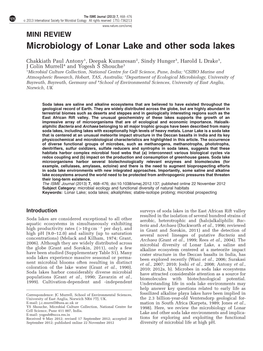 Microbiology of Lonar Lake and Other Soda Lakes