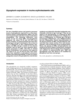 Glycophorin Expression in Murine Erythroleukaemia Cells