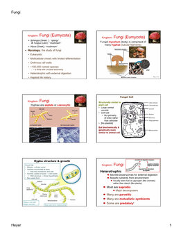 Kingdom: Fungi (Eumycota)