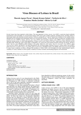 Virus Diseases of Lettuce in Brazil