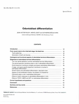 Odontoblast Differentiation