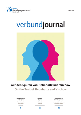 On the Trail of Helmholtz and Virchow