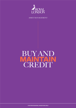 Buy and Maintain Credit