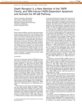 Death Receptor 5, a New Member of the TNFR Family, and DR4 Induce FADD-Dependent Apoptosis and Activate the NF-␬B Pathway