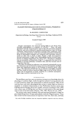 Flight Physiology of Flying Foxes, Pteropus Poliocephalus