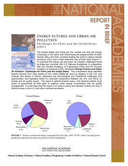 China Energy Report Brief