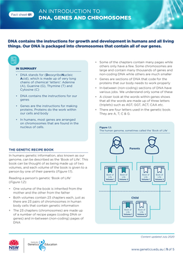 An Introduction to Dna, Genes and Chromosomes