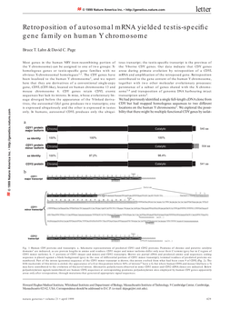 Retroposition of Autosomal Mrna Yielded Testis-Specific Gene Family