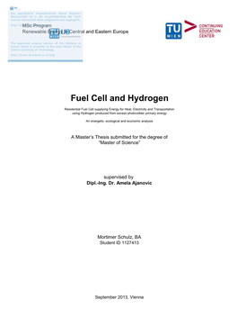 Fuel Cell and Hydrogen