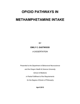 Opioid Pathways in Methamphetamine Intake