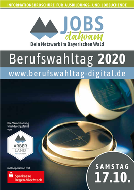 Berufswahltag 2020