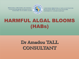 Red Tides & Harmful Algal Blooms