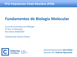 Polymerase Chain Reaction (PCR)