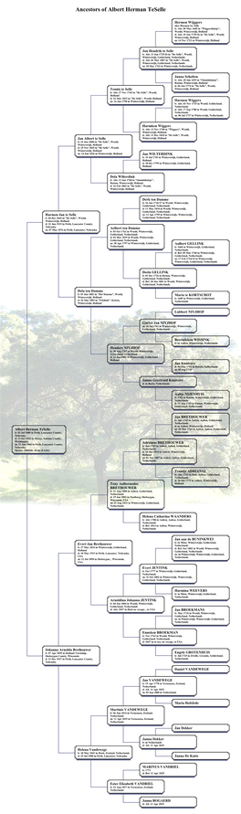 Family Tree Maker