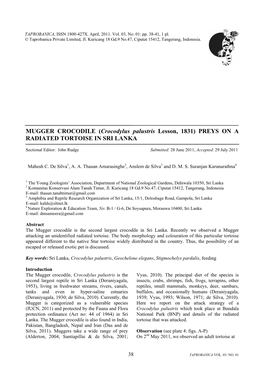 MUGGER CROCODILE (Crocodylus Palustris Lesson, 1831) PREYS on a RADIATED TORTOISE in SRI LANKA