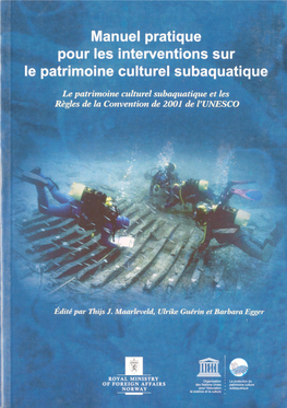 2013Manuelpratique.Pdf