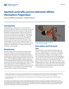 Spotted Lanternfly Lycorma Delicatula (White) (Hemiptera: Fulgoridae)1 Taryn B