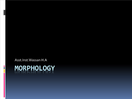 MORPHOLOGY What Is Morphology?