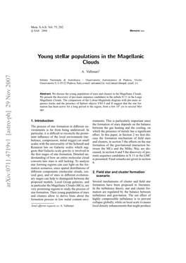 Young Stellar Populations in the Magellanic Clouds