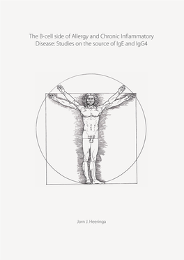 The B-Cell Side of Allergy and Chronic Inflammatory Disease: Studies on the Source of Ige and Igg4