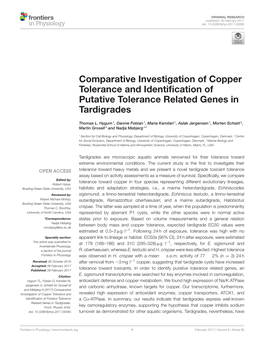 Comparative Investigation of Copper Tolerance and Identification Of