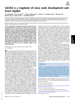 GATA6 Is a Regulator of Sinus Node Development and Heart Rhythm