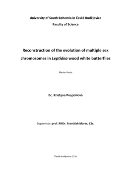 Reconstruction of the Evolution of Multiple Sex Chromosomes in Leptidea Wood White Butterflies