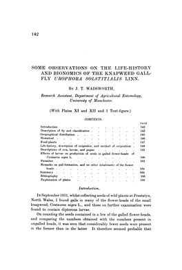 Some Observations on the Life-History and Bionomics of the Knapweed Gall- Fly Urophora Solstitialis Linn