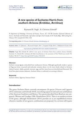 A New Species of Euchaetes Harris from Southern Arizona (Erebidae, Arctiinae)