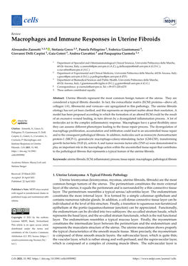 Macrophages and Immune Responses in Uterine Fibroids