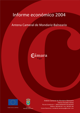 Informe Económico Año 2004