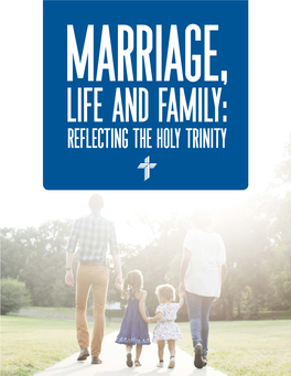 Marriage, Life, and Family: Reflecting the Holy Trinity
