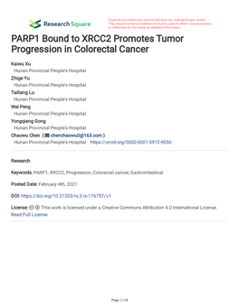 PARP1 Bound to XRCC2 Promotes Tumor Progression in Colorectal Cancer