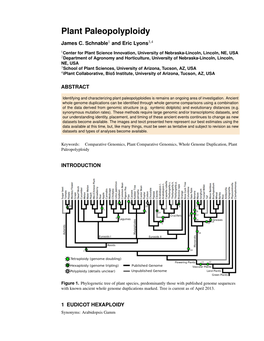 Plant Paleopolyploidy James C