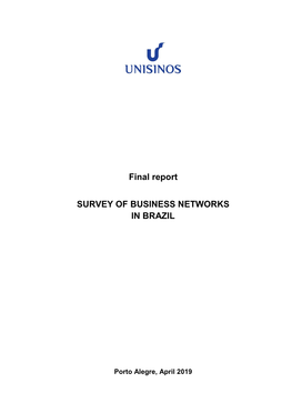 Final Report SURVEY of BUSINESS NETWORKS in BRAZIL