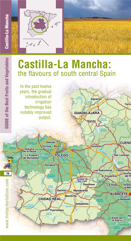 Castilla-La Mancha: the Flavours of South Central Spain