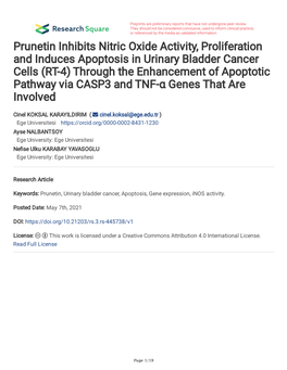 Prunetin Inhibits Nitric Oxide Activity, Proliferation