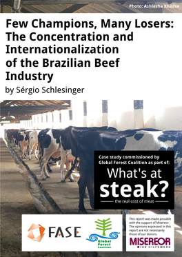 Brazilian Beef Industry Sérgio Schlesinger Brazil Consultant Federação De Órgãos Para Assistência Social E Educacional