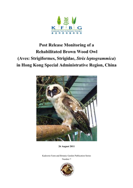 Brown Wood Owl Radio Tracking