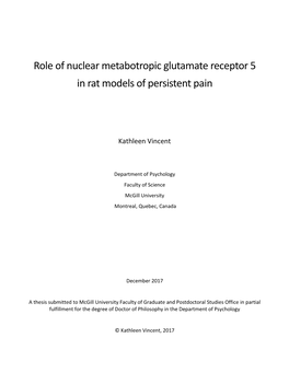 Role of Nuclear Metabotropic Glutamate Receptor 5 in Rat Models of Persistent Pain