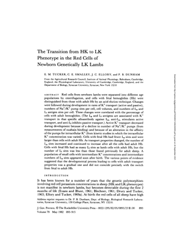 The Transition from HK to LK Phenotype in the Red Cells of Newborn Genetically LK Lambs