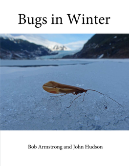 Bugs in Winter by Bob Armstrong and John Hudson a Project in Progress